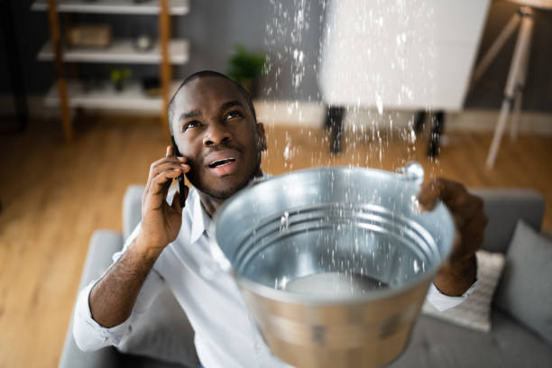 Best Water damage restoration company  in Matheny, CA