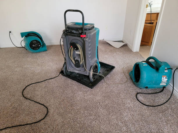 Best Water damage restoration process  in Matheny, CA