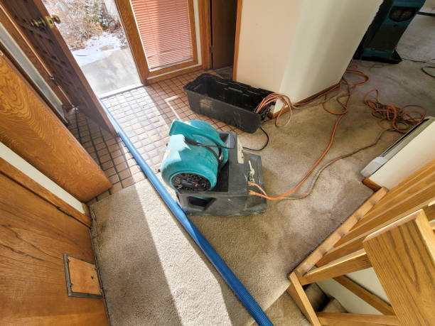 Best Professional water damage repair  in Matheny, CA
