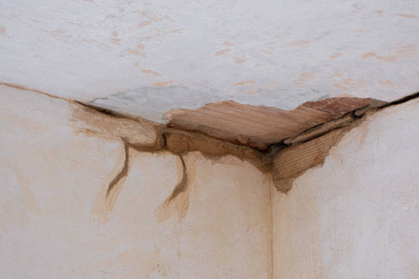 Best Carpet water damage restoration  in Matheny, CA
