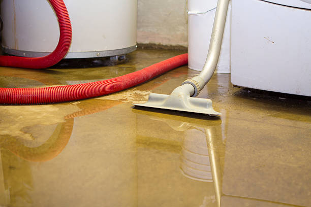 Best Water damage contractors near me  in Matheny, CA
