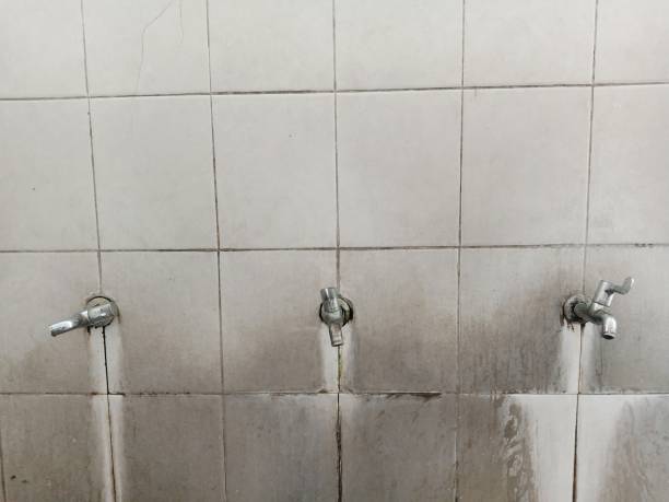 Best Ceiling water damage repair  in Matheny, CA
