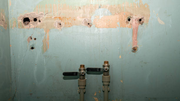 Best Basement water damage restoration  in Matheny, CA