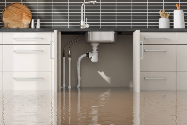 Best Local water damage restoration  in Matheny, CA
