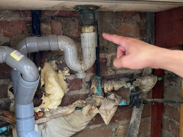 Best Ceiling water damage repair  in Matheny, CA