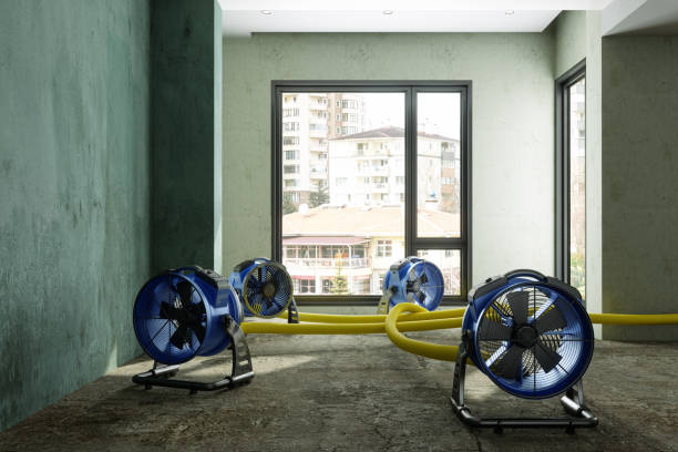 Best 24/7 water damage repair  in Matheny, CA